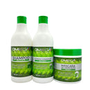 Kit Capilar Regenerador E Fortalecedor Graviola Shampoo Condicionador Máscara 500ml OmegaHair