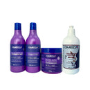 Kit Bomba de Vitamina Shampoo + Condicionador + Máscara + Creme Pentear 500ml Omega Hair