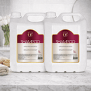 Kit 2 Shampoo Galão Profissional Limpeza 5L Química Certa
