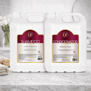 Kit Shampoo e Condicionador Limpeza Hidratante Galão 5L Química Certa