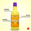 Shampoo Açafrão 500ml Omega Hair