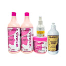 Kit Completo Desmaia Hair Liso Perfeito Omega Hair
