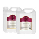 Kit 2 Shampoo Galão Profissional Limpeza 5L Química Certa