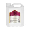 Shampoo Limpeza Eficaz Profissional Galão 5L Química Certa