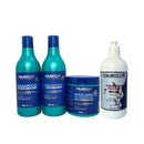 Kit Capilar Lisos e Leves Shampoo + Condicionador + Máscara + Creme de Pentear 500ml Omega Hair