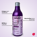 Kit Matizador Perfect Blond Shampoo 500ml + Máscara 300g Omega Hair