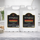 Kit 2 Shampoo Galão Profissional Limpeza 5L Química Certa